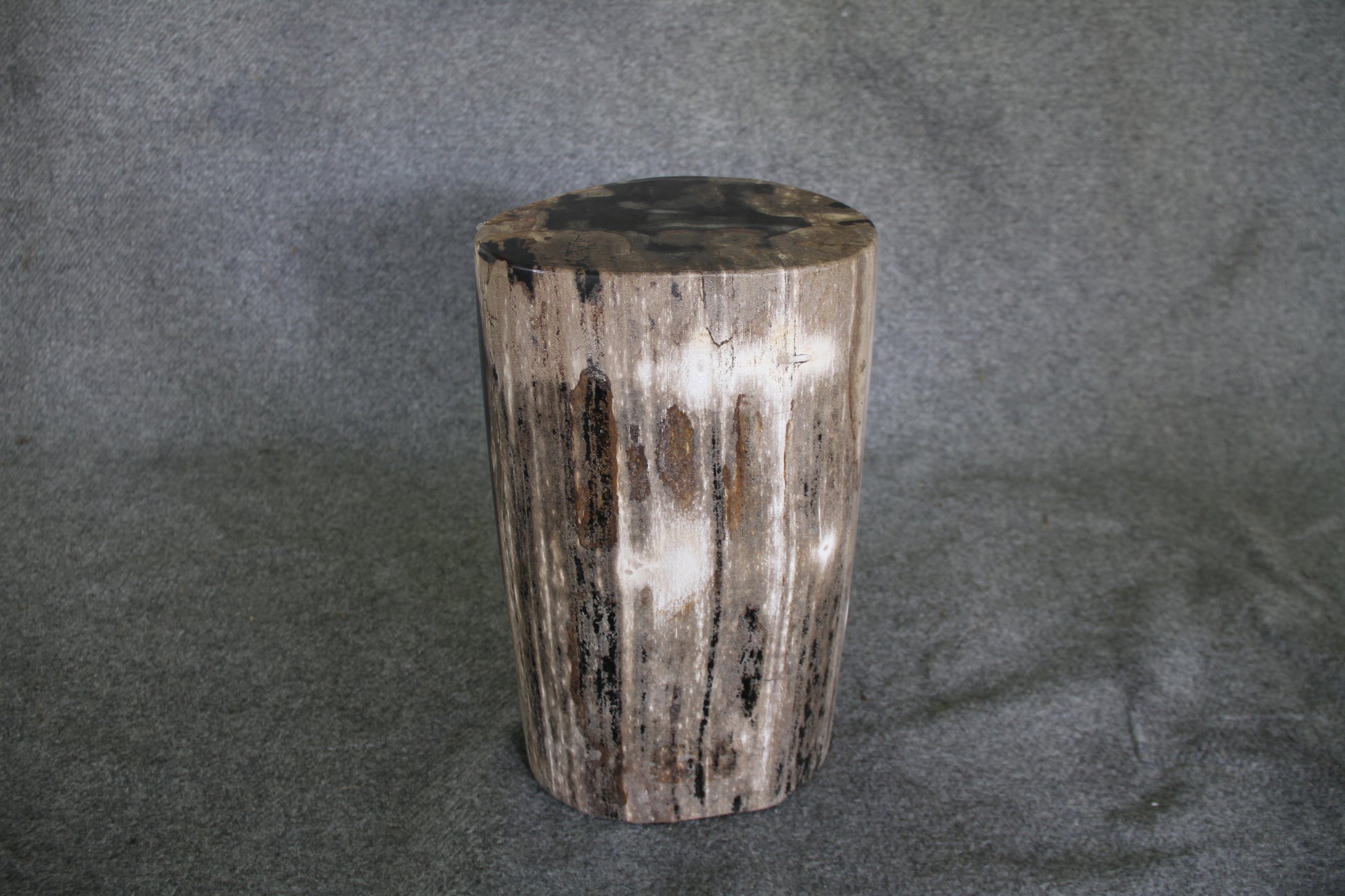 Petrified Wood Log Stool 10 in x 10 in x 16.5in (h) - DV.1.112 | Petrified Wood Stools | Modishstore-4