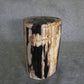 Petrified Wood Log Stool 10 in x 10 in x 16.5in (h) - DV.1.112 | Petrified Wood Stools | Modishstore