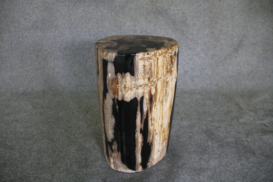Petrified Wood Log Stool 10 in x 10 in x 16.5in (h) - DV.1.112 | Petrified Wood Stools | Modishstore