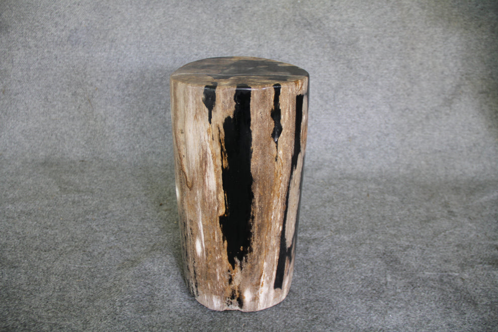 Petrified Wood Log Stool 10 in x 10 in x 16.5in (h) - DV.1.112 | Petrified Wood Stools | Modishstore-3