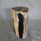 Petrified Wood Log Stool 10 in x 10 in x 16.5in (h) - DV.1.112 | Petrified Wood Stools | Modishstore-2