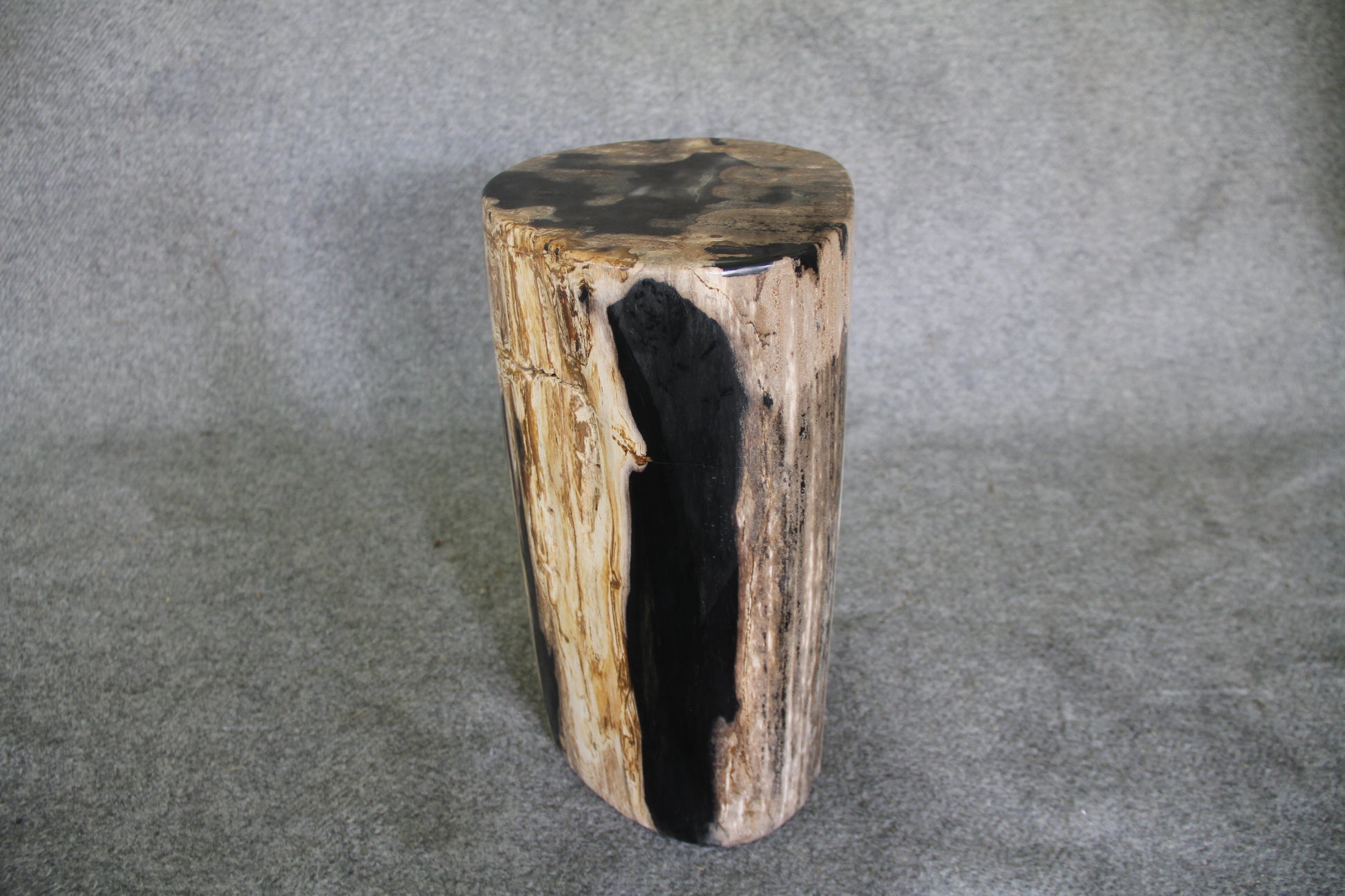Petrified Wood Log Stool 10 in x 10 in x 16.5in (h) - DV.1.112 | Petrified Wood Stools | Modishstore-2