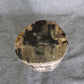 Petrified Wood Log Stool 10 in x 10 in x 16.5in (h) - DV.1.112 | Petrified Wood Stools | Modishstore-5