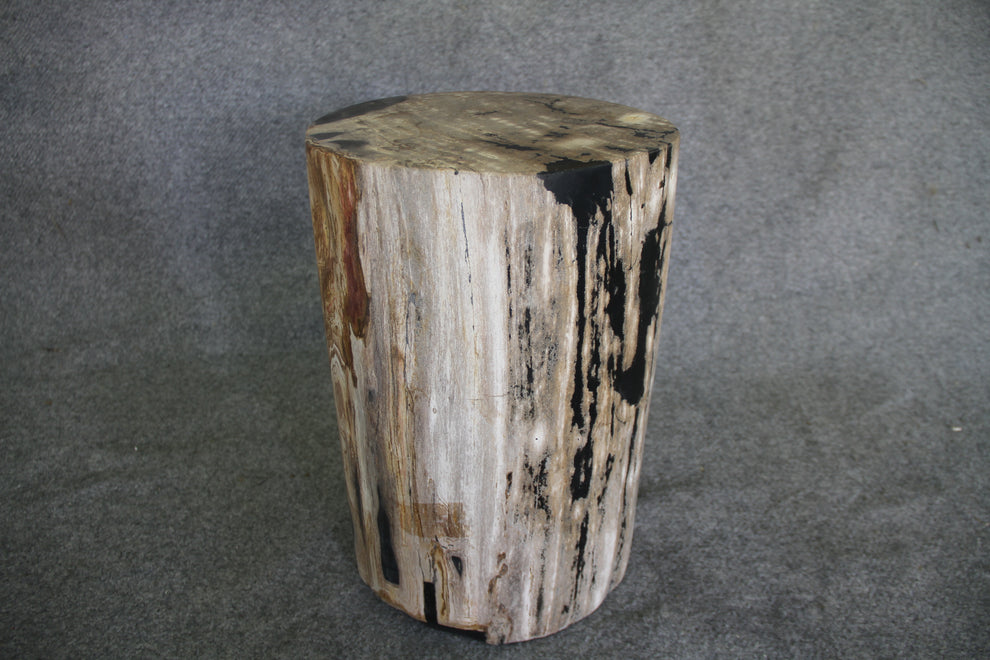 Petrified Wood Log Stool 18in (h)x 11in x 11in - DV.1.113 | Petrified Wood Stools | Modishstore-3
