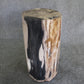 Petrified Wood Log Stool 18in (h)x 11in x 11in - DV.1.113 | Petrified Wood Stools | Modishstore