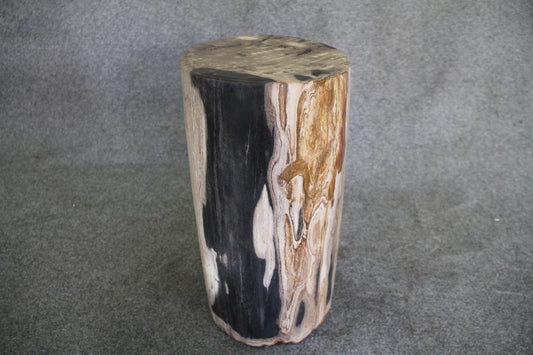 Petrified Wood Log Stool 18in (h)x 11in x 11in - DV.1.113 | Petrified Wood Stools | Modishstore