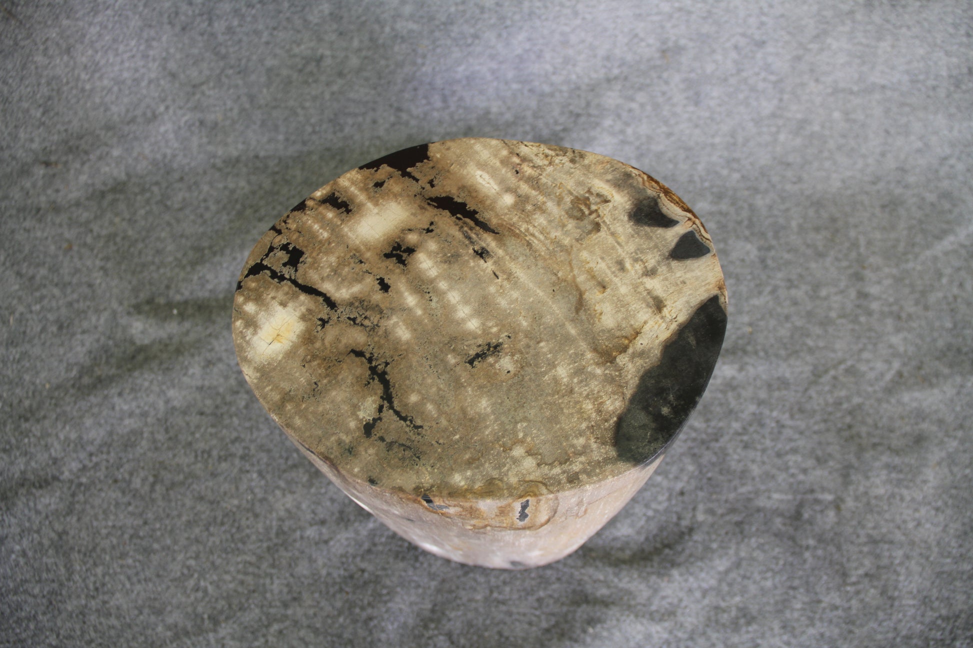 Petrified Wood Log Stool 18in (h)x 11in x 11in - DV.1.113 | Petrified Wood Stools | Modishstore-5
