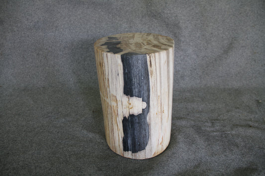 Petrified Wood Log Stool 16in (h) x 13in x 11in - DV.1.175 | Petrified Wood Stools | Modishstore