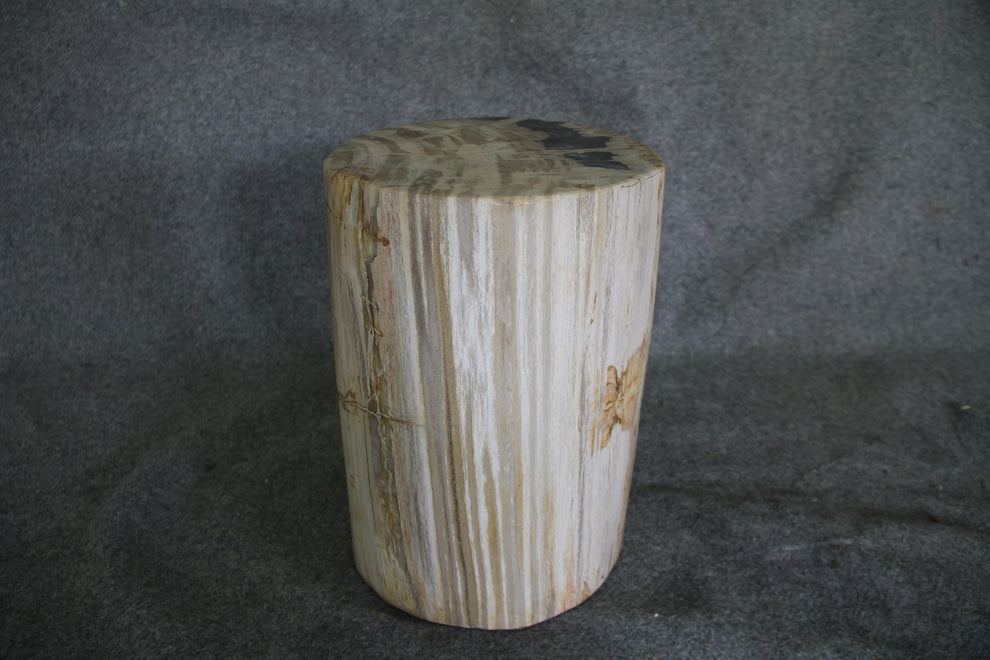 Petrified Wood Log Stool 16in (h) x 13in x 11in - DV.1.175 | Petrified Wood Stools | Modishstore-3