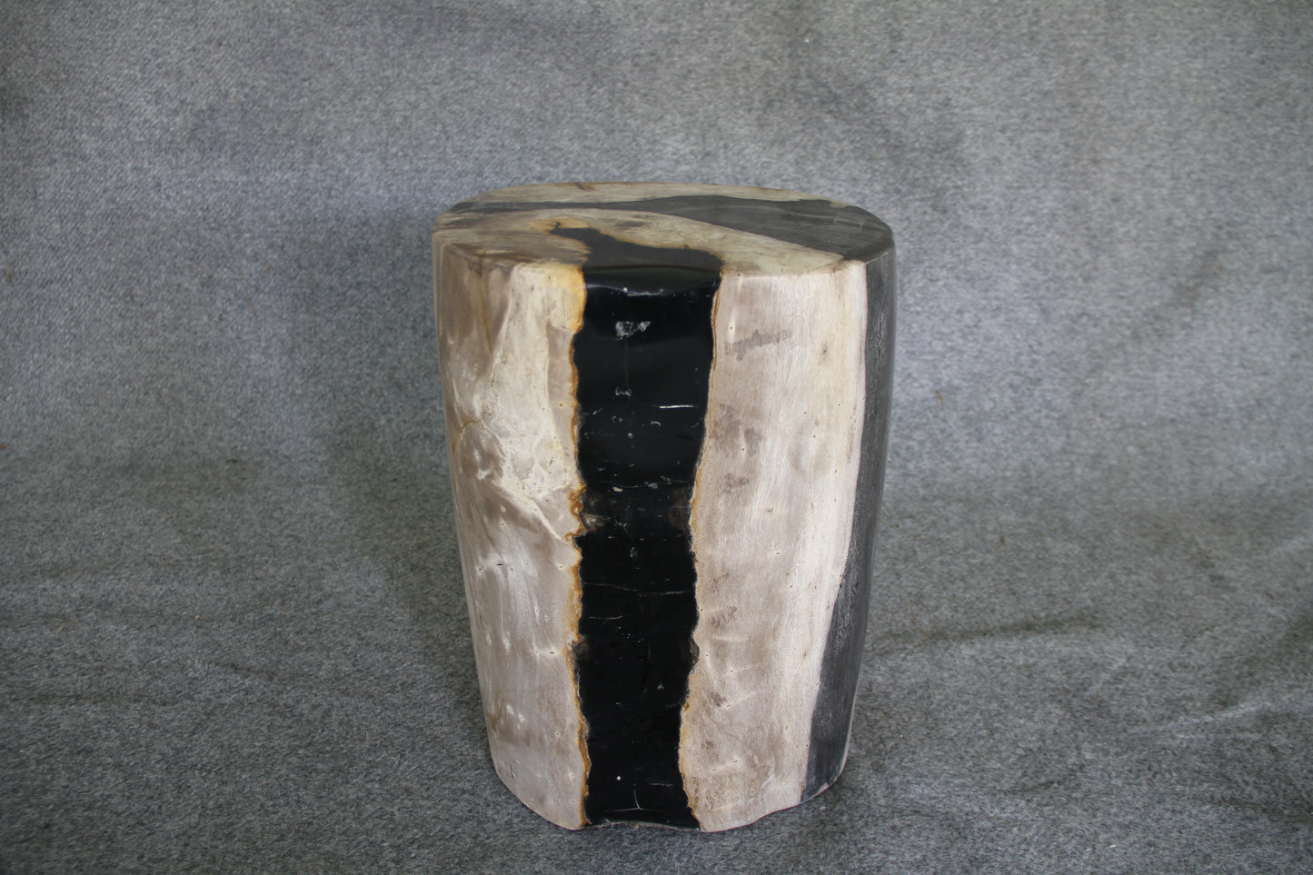 Petrified Wood Log Stool 16in x 11in x 10in - DV.1.195 | Petrified Wood Stools | Modishstore-2