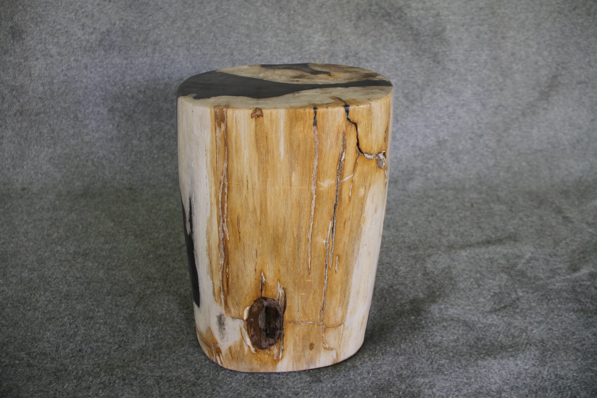 Petrified Wood Log Stool 16in x 11in x 10in - DV.1.195 | Petrified Wood Stools | Modishstore-3