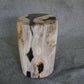 Petrified Wood Log Stool 16in x 11in x 10in - DV.1.195 | Petrified Wood Stools | Modishstore-5