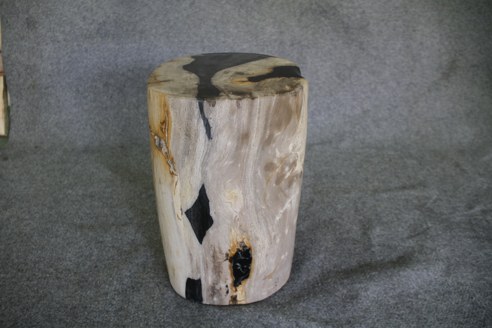 Petrified Wood Log Stool 16in x 11in x 10in - DV.1.195 | Petrified Wood Stools | Modishstore-5