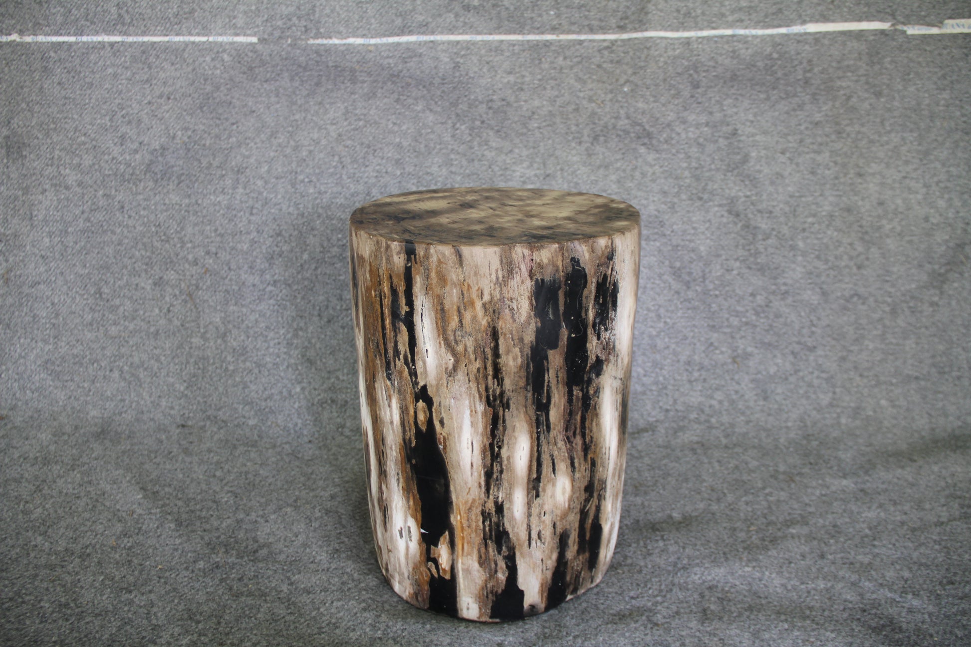 Petrified Wood Log Stool 16in x 11in x 10in - DV.161 | Petrified Wood Stools | Modishstore-5