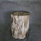 Petrified Wood Log Stool 16in x 11in x 10in - DV.161 | Petrified Wood Stools | Modishstore-4