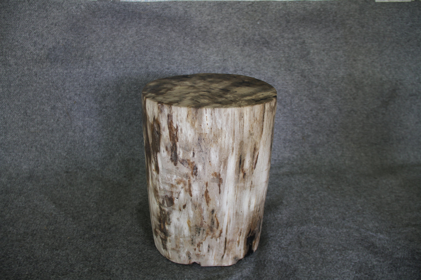 Petrified Wood Log Stool 16in x 11in x 10in - DV.161 | Petrified Wood Stools | Modishstore-4
