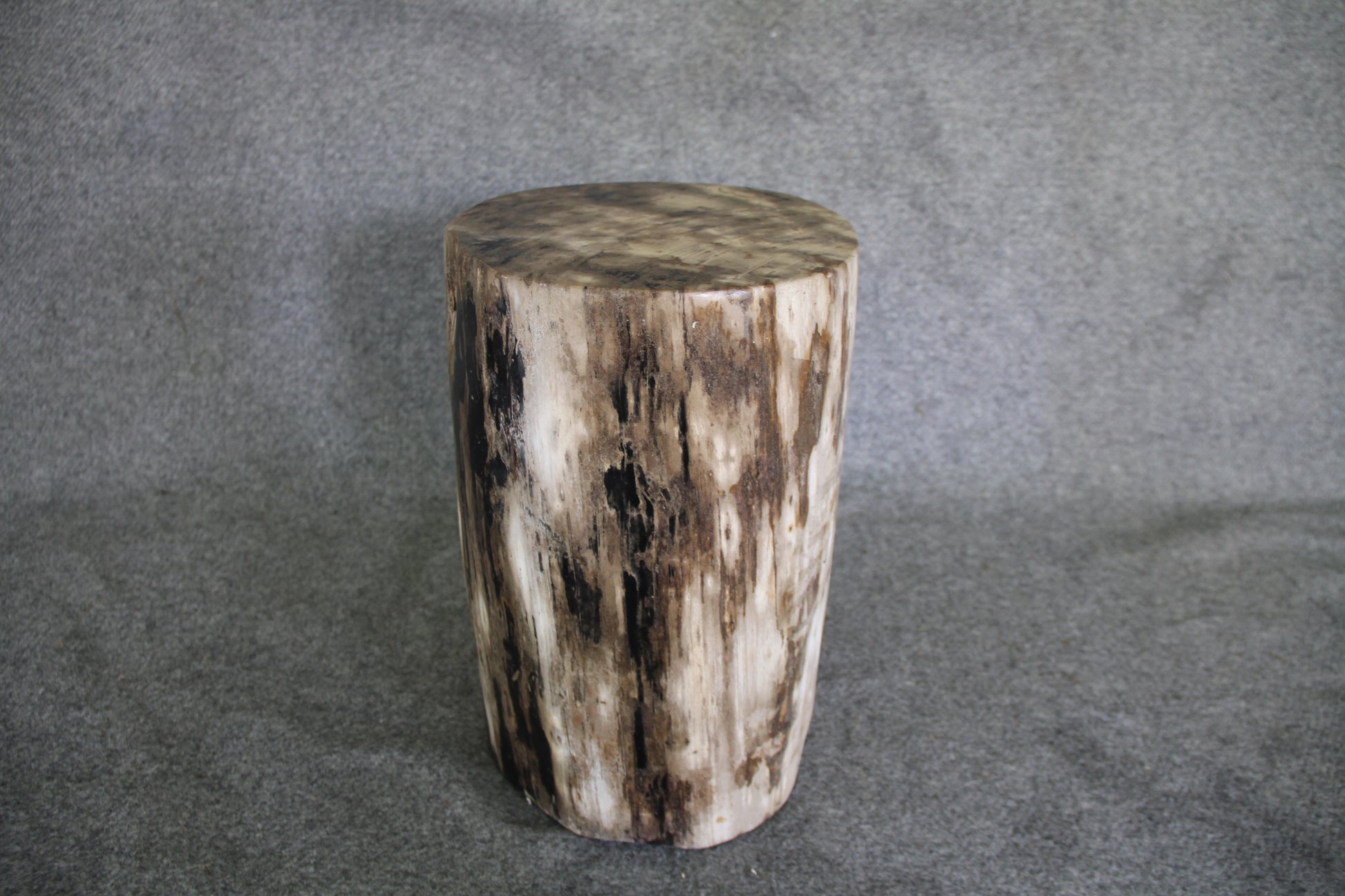 Petrified Wood Log Stool 16in x 11in x 10in - DV.161 | Petrified Wood Stools | Modishstore-3