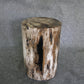Petrified Wood Log Stool 16in x 11in x 10in - DV.161 | Petrified Wood Stools | Modishstore