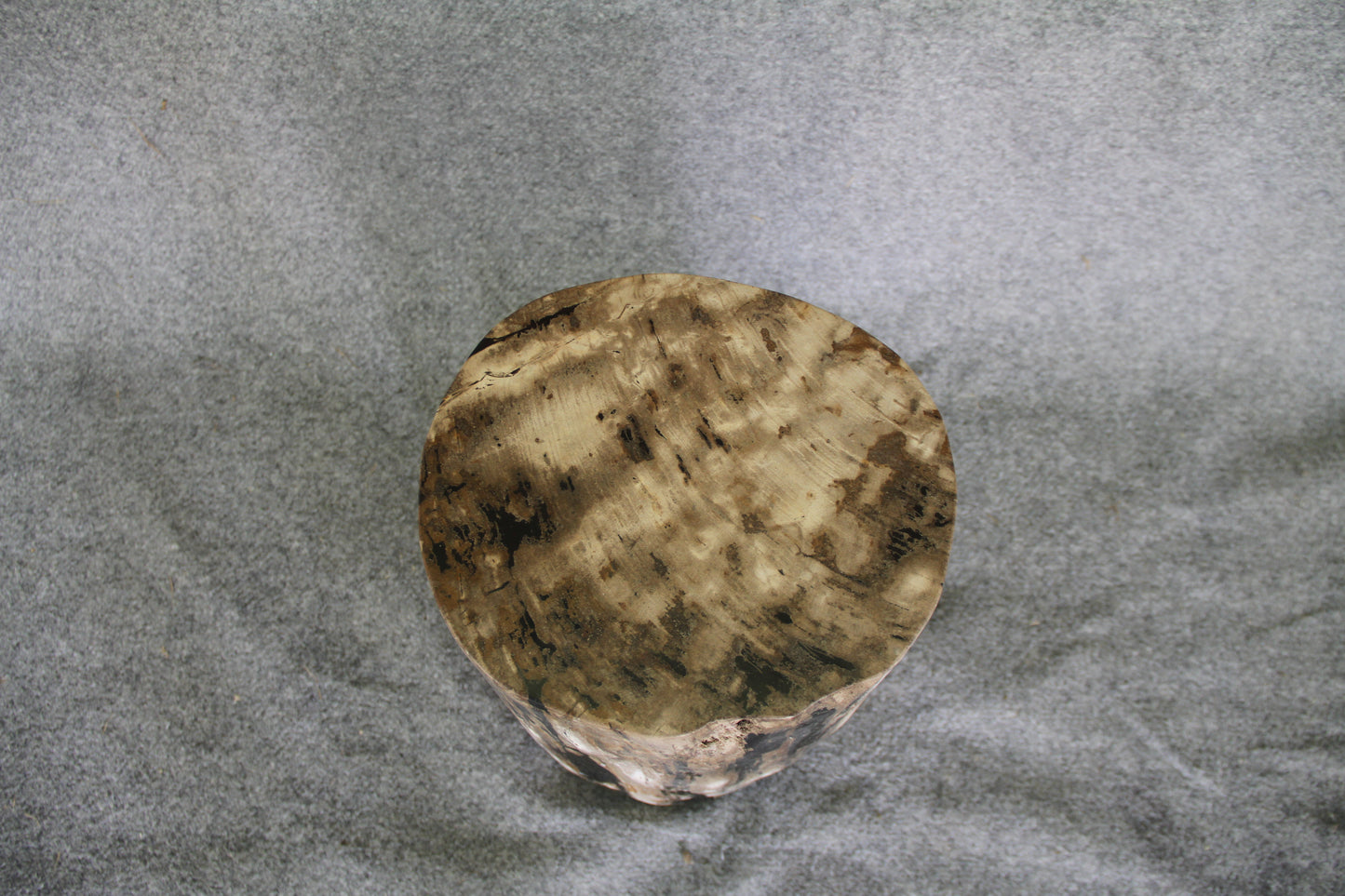 Petrified Wood Log Stool 16in x 11in x 10in - DV.161 | Petrified Wood Stools | Modishstore-2