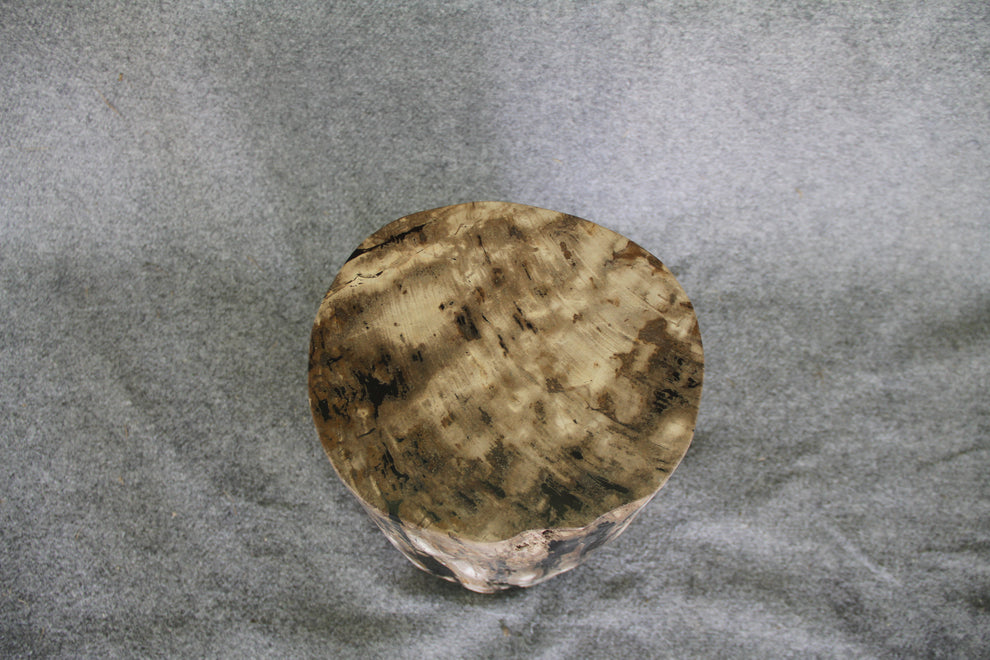 Petrified Wood Log Stool 16in x 11in x 10in - DV.161 | Petrified Wood Stools | Modishstore-2