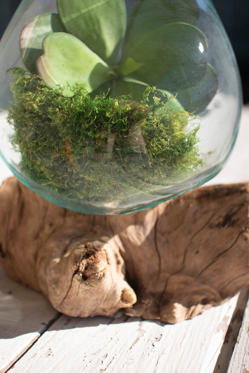 Blown Glass Bowl On Driftwood Base - Large By Kalalou | Decorative Bowls | Modishstore - 2