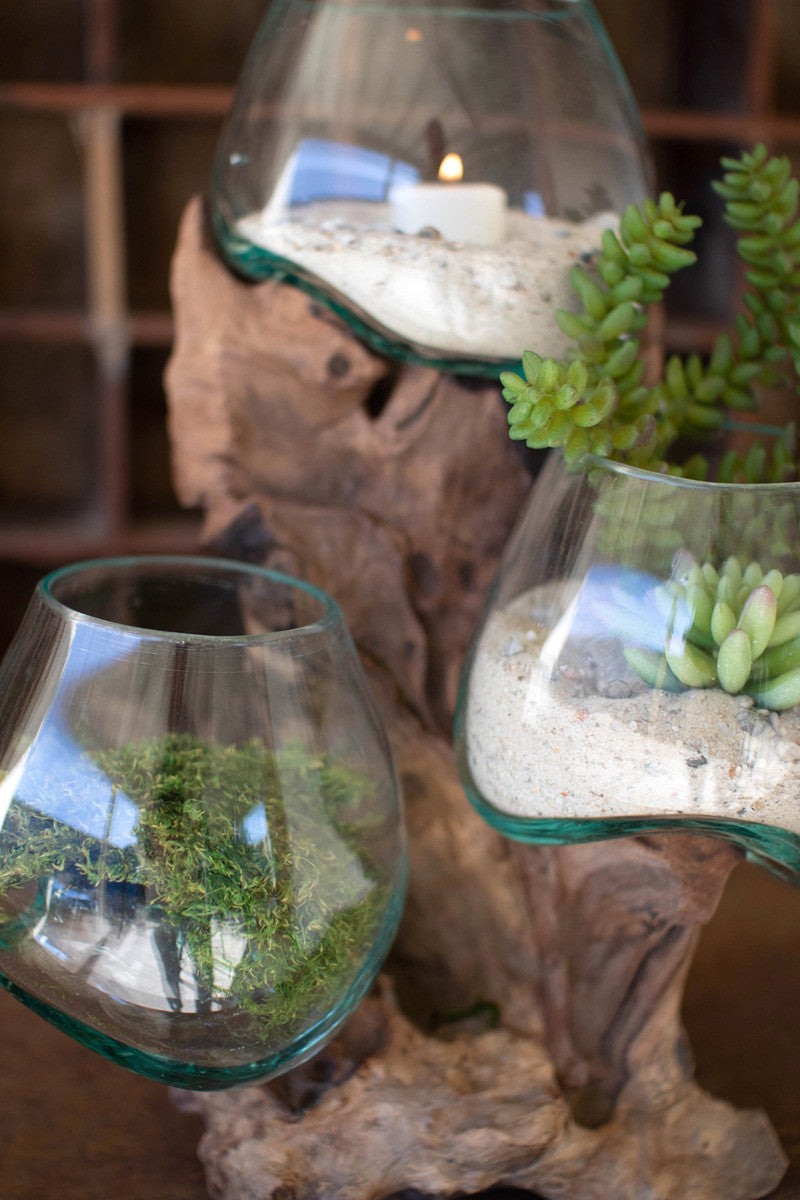 Three Blown Glass Bowls On A Driftwood Base By Kalalou | Decorative Bowls | Modishstore - 3