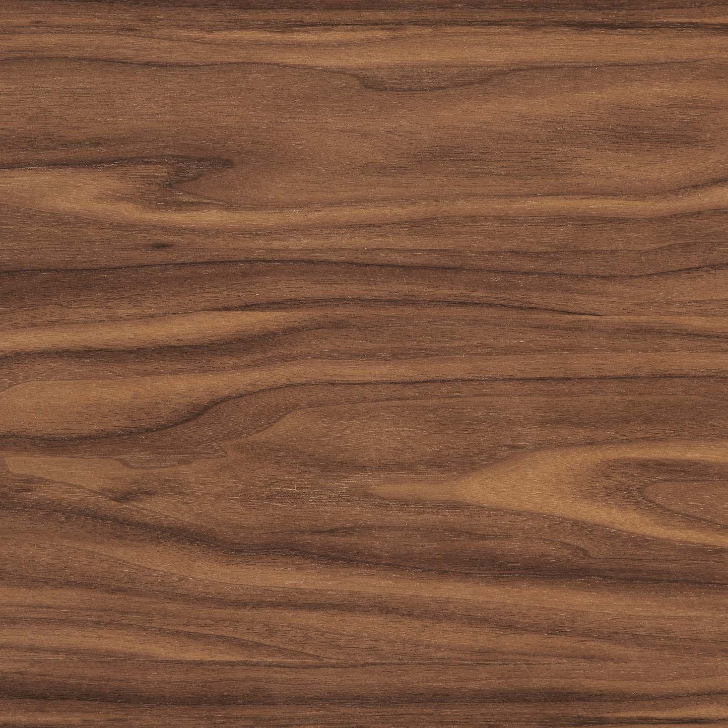 Senja 47" Round Dining Table By Modway - EEI-6064 | Dining Tables | Modishstore - 13