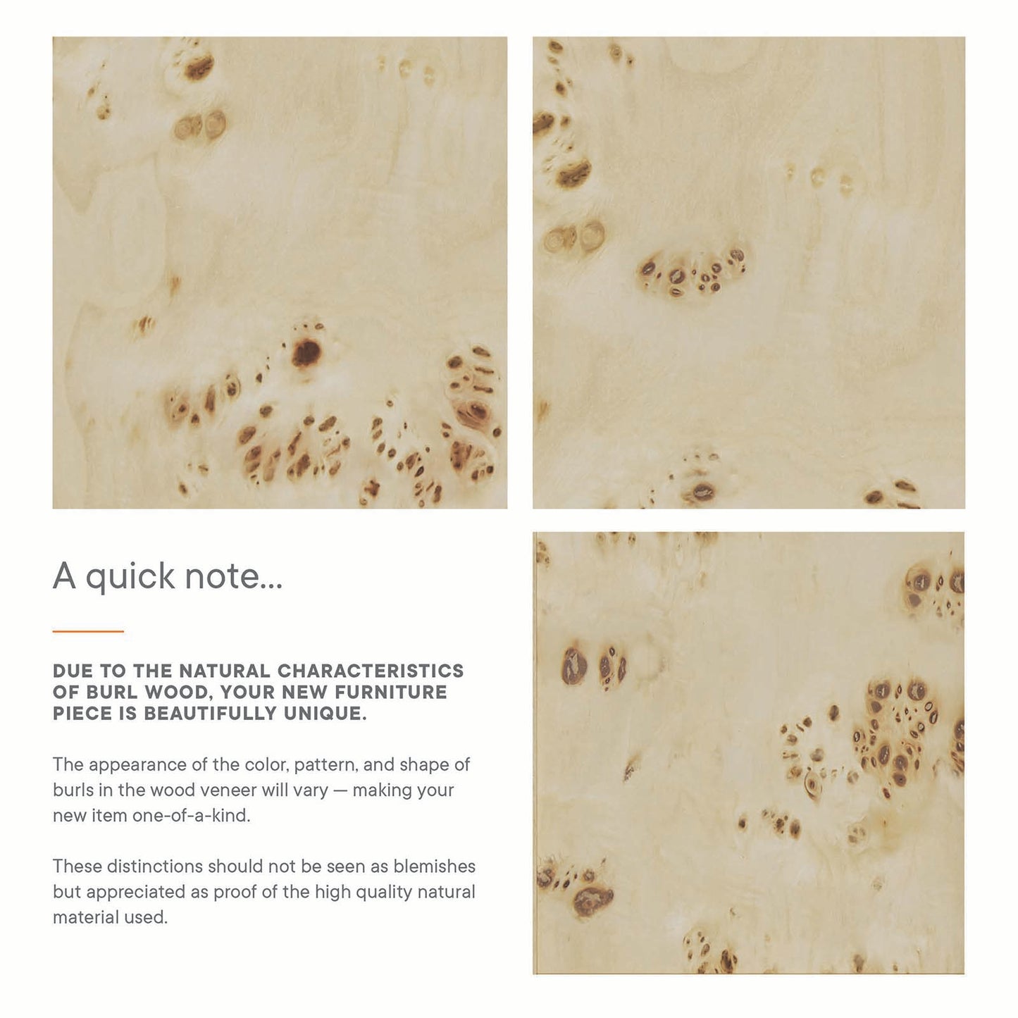 Elysian 18" Wood Bathroom Vanity Cabinet (Sink Basin Not Included) By Modway - EEI-6136 | Bathroom Accessories | Modishstore - 18