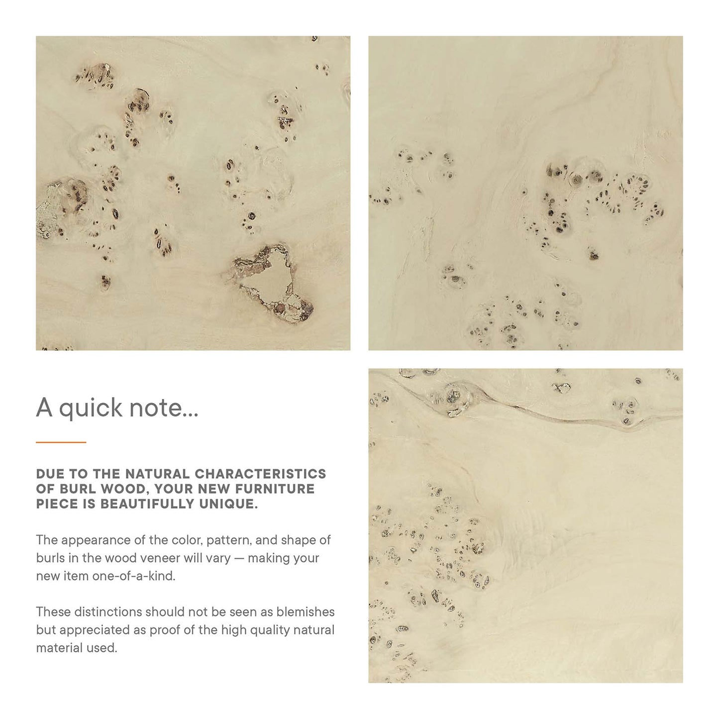 Cosmos 36" Square Burl Wood Coffee Table By Modway - EEI-6272 | Coffee Tables | Modishstore - 8