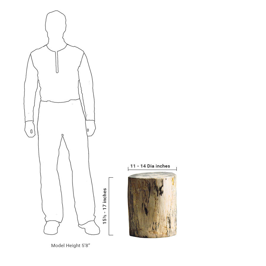 Roost Petrified Wood Stools-4