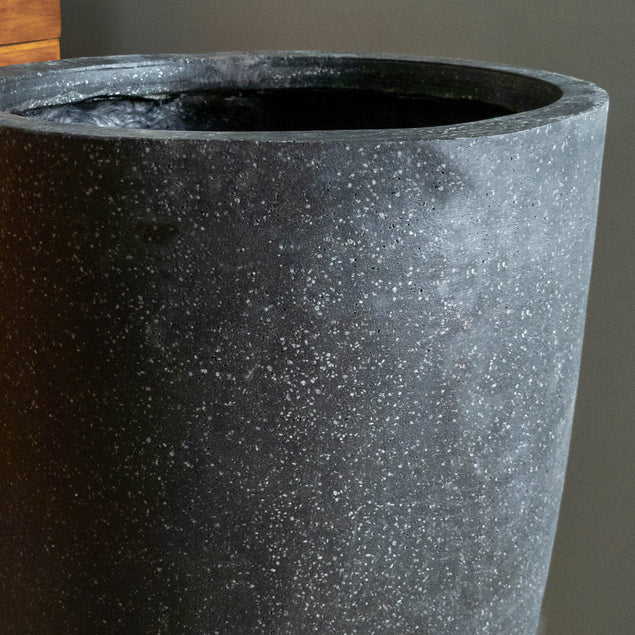 Bamboo Tree in Kawa Planter, Black By Gold Leaf Design Group | Planters, Troughs & Cachepots | Modishstore - 2
