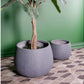 Gold Leaf Design Group Puddle Planter - Set Of 2 | Outdoor Planters, Troughs & Cachepots | Modishstore-2