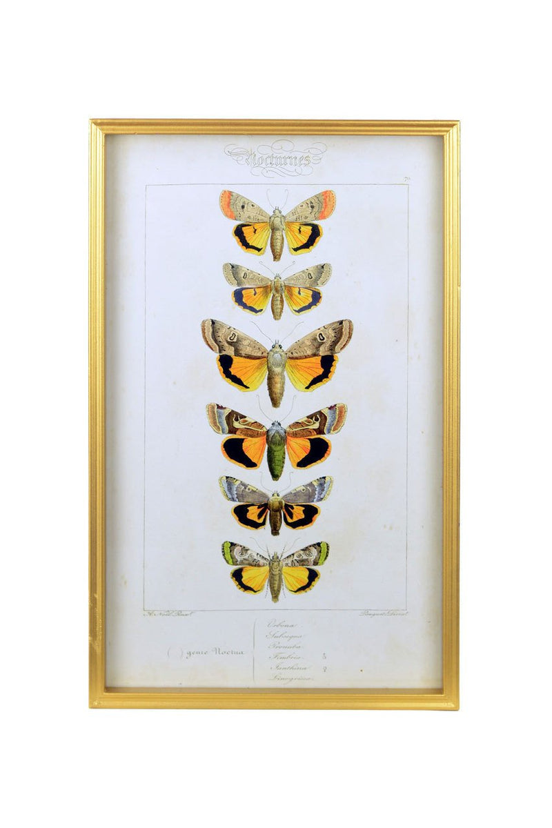 Vagabond Vintage Vintage Butterfly Print - A | Modishstore | Wall Art