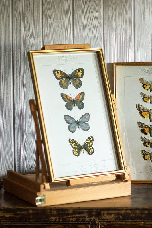 Vagabond Vintage Vintage Butterfly Print - B | Modishstore | Wall Art