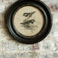 Vagabond Vintage Distressed Wood Framed Vintage Bird Print - III | Modishstore | Wall Decor