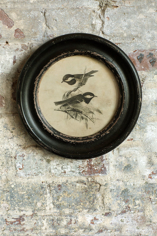 Vagabond Vintage Distressed Wood Framed Vintage Bird Print - III | Modishstore | Wall Decor