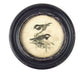 Vagabond Vintage Distressed Wood Framed Vintage Bird Print - III | Modishstore | Wall Decor-2