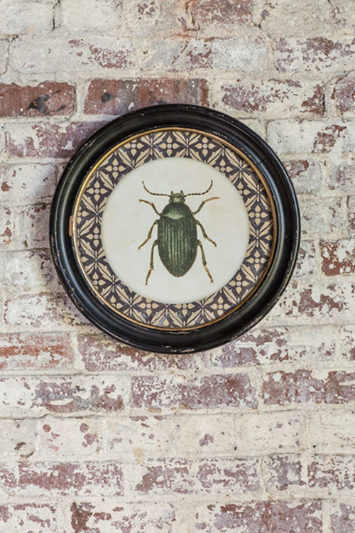 Vagabond Vintage Wood Framed Round Insect Print with Glass Front - I | Modishstore | Wall Decor