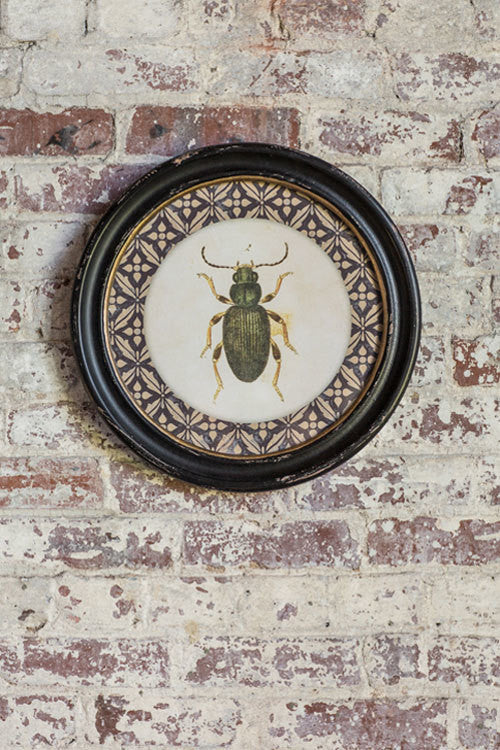 Vagabond Vintage Wood Framed Round Insect Print with Glass Front - II | Modishstore | Wall Decor