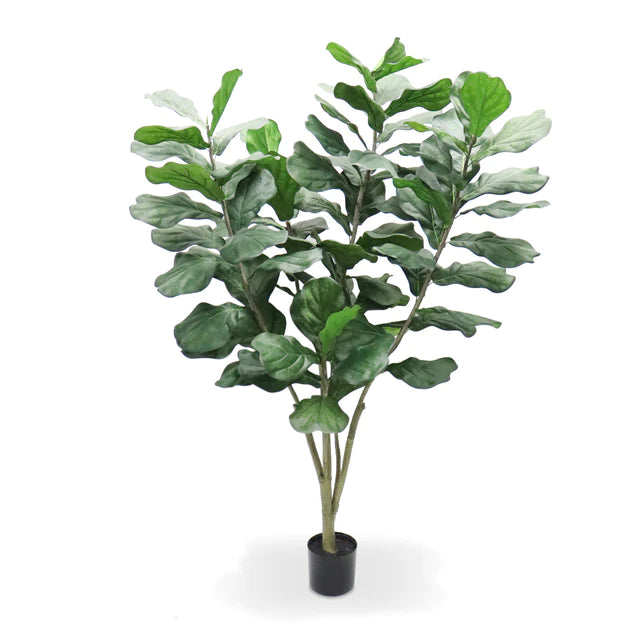 Fiddle Leaf Tree 72"H Bushy, Potted By Gold Leaf Design Group | Planters, Troughs & Cachepots |  Modishstore