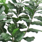 Fiddle Leaf Tree 72"H Bushy, Potted By Gold Leaf Design Group | Planters, Troughs & Cachepots |  Modishstore - 3