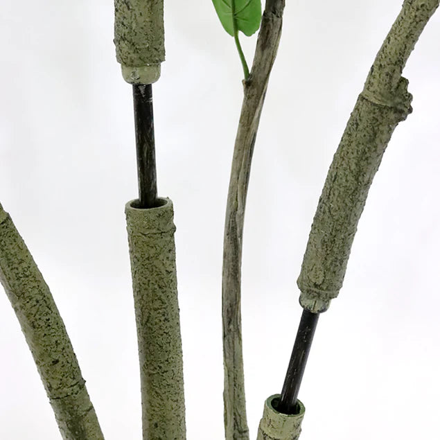 Fiddle Leaf Tree 72"H Bushy, Potted By Gold Leaf Design Group | Planters, Troughs & Cachepots |  Modishstore - 2