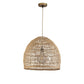 Aura Light Dome Pendant Light By Ele Light & Decor | Pendant Lamps |  Modishstore 