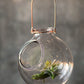 Vagabond Vintage Handblown Glass and Copper Double Wall Globe | Modishstore | Glass Terrariums-3