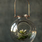 Vagabond Vintage Handblown Glass and Copper Double Wall Globe | Modishstore | Glass Terrariums-2