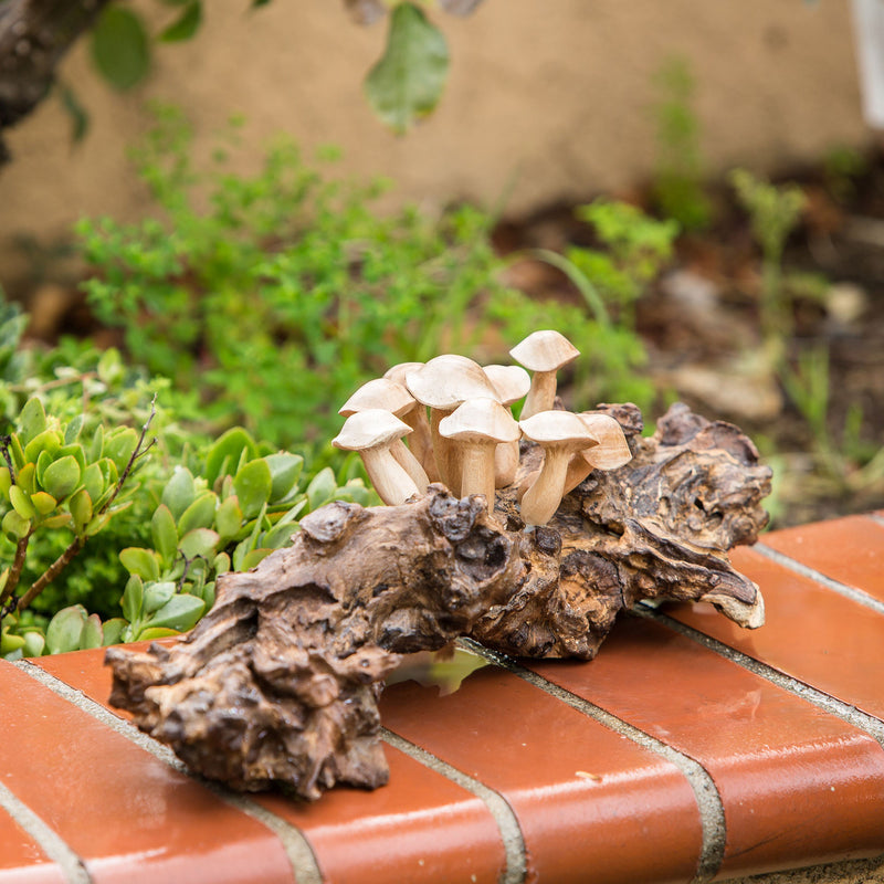 Garden Age Supply Mushrooms on Teak Set Of 2 | Outdoor Decor | 49003 |  Modishstore 