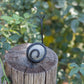 Garden Age Supply Stone Snail Set Of 6 | Outdoor Decor | 60121 |  Modishstore  - 2