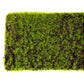 Green Wall, 'New Moss', Strip by Gold Leaf Design Group | Green Wall | Modishstore-7
