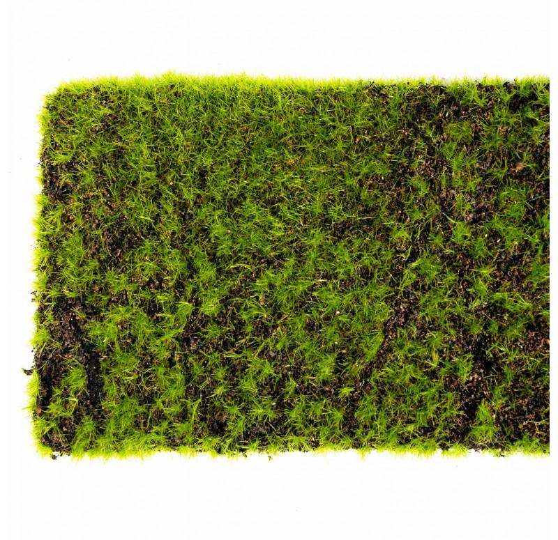 Green Wall, 'New Moss', Strip by Gold Leaf Design Group | Green Wall | Modishstore-7