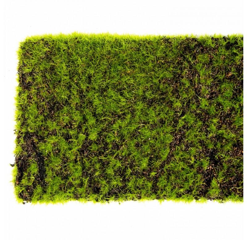 Green Wall, 'New Moss', Strip by Gold Leaf Design Group | Green Wall | Modishstore - 7